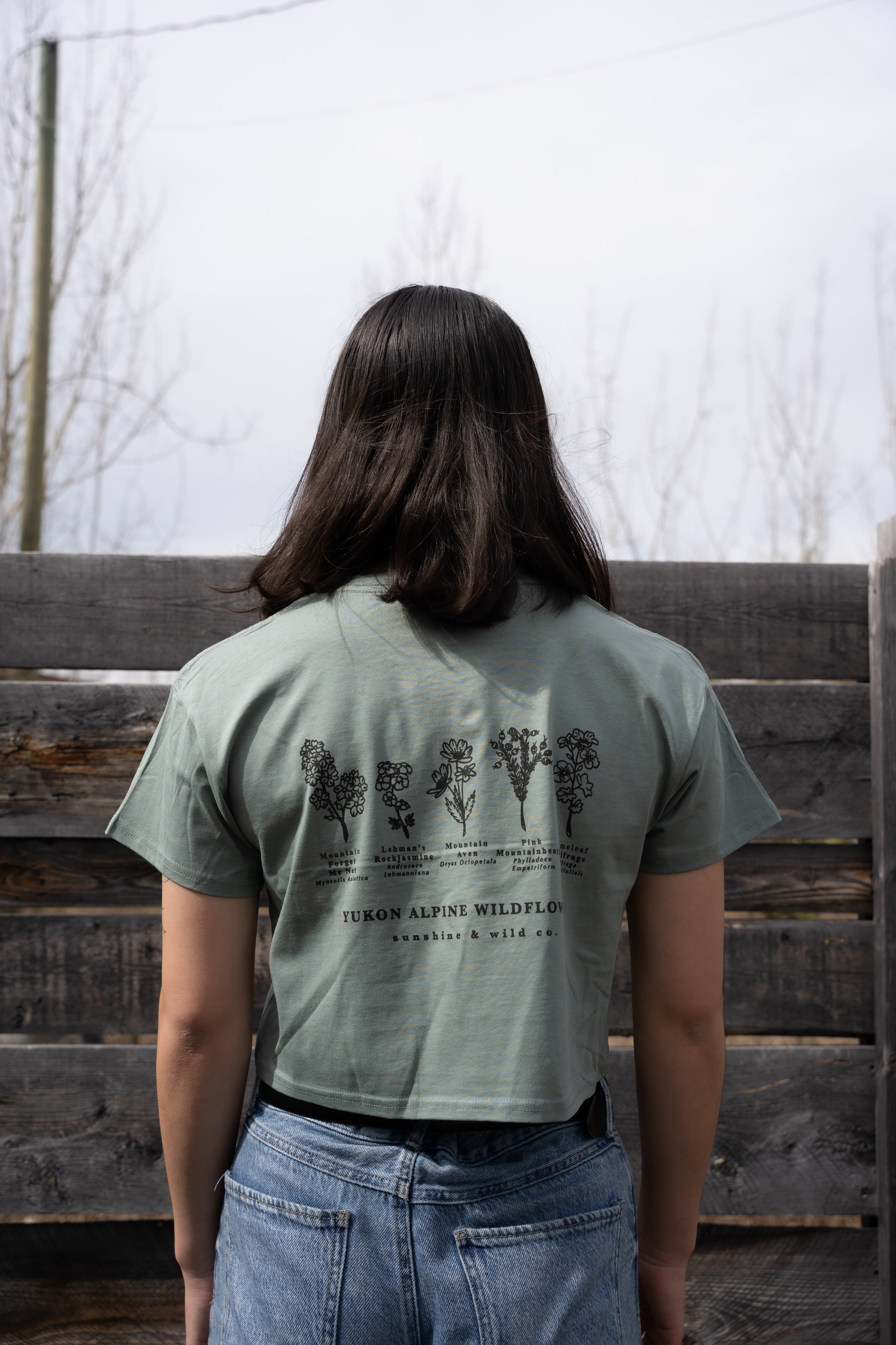 Women's Crop Alpine Wildflower Tee - Sage