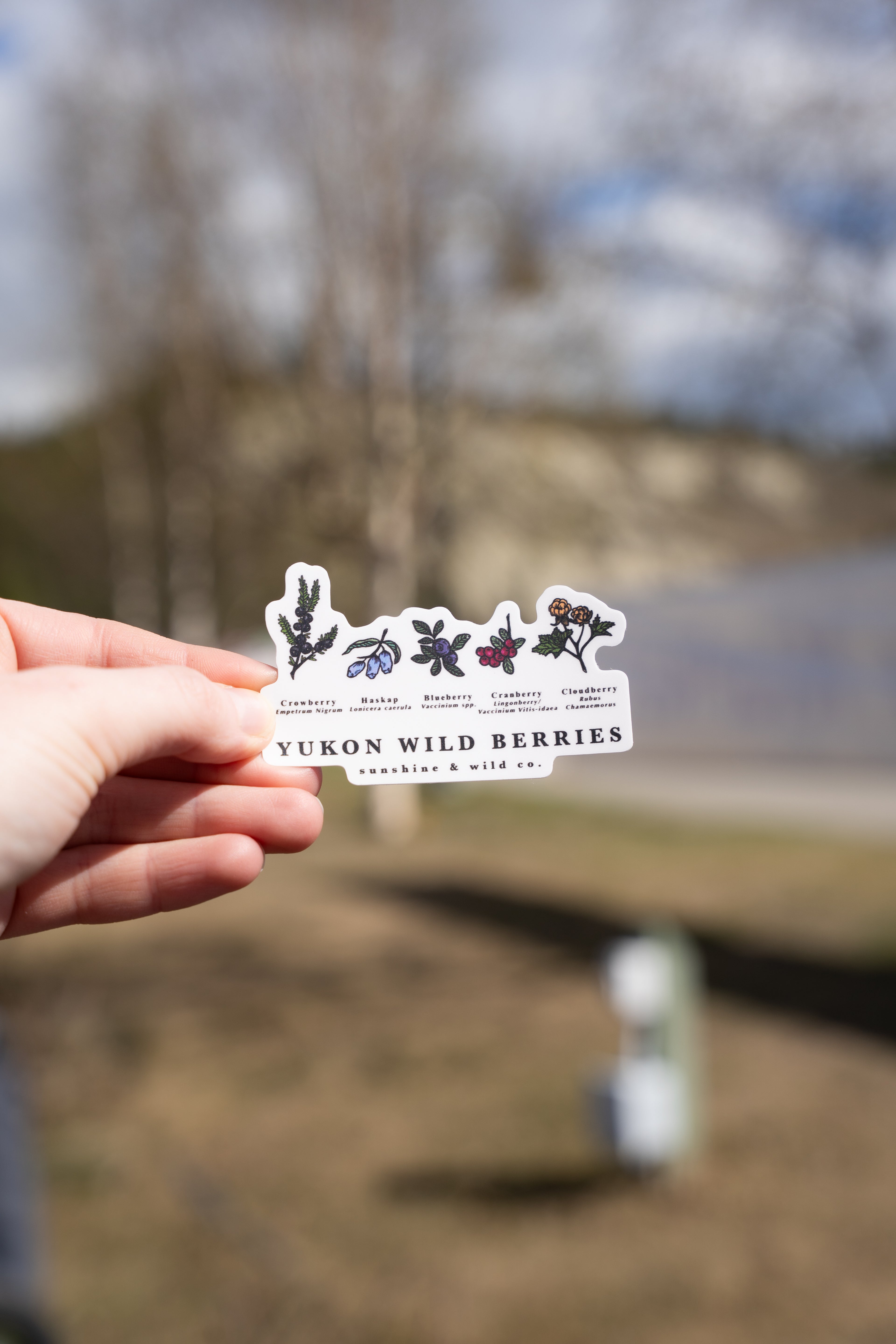 Wild Berries Sticker