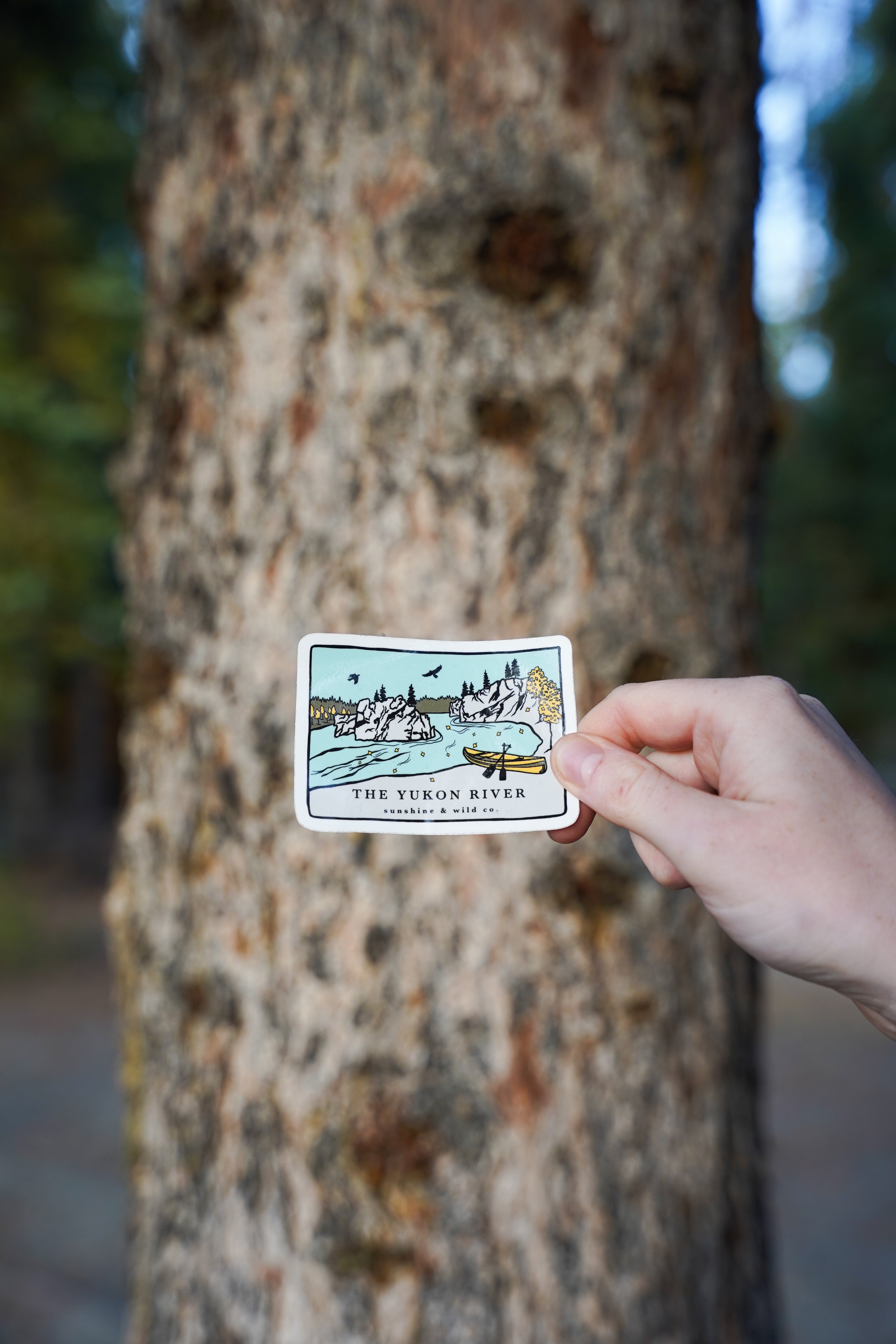 Yukon River Sticker