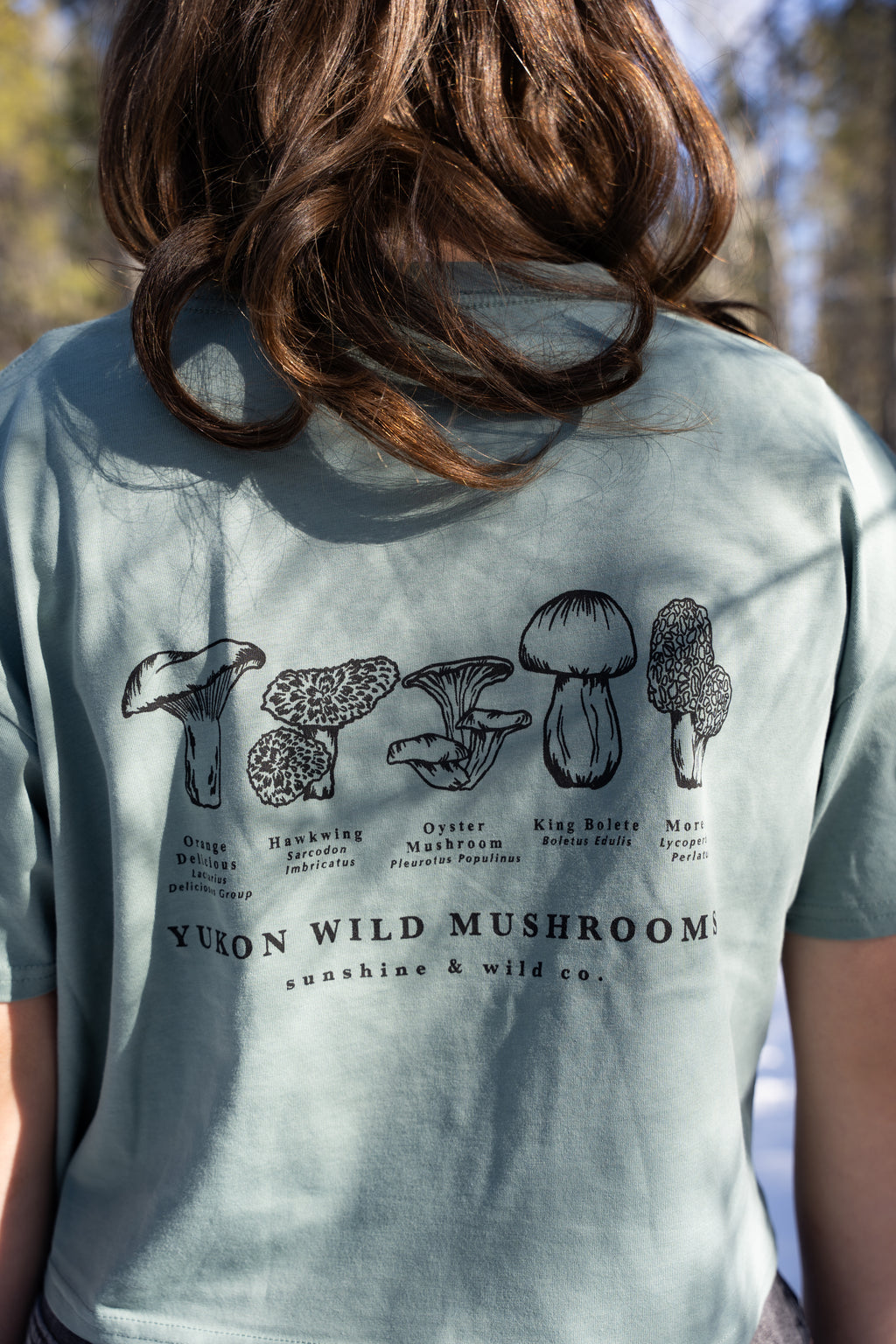 Women's Crop Wild Mushroom Tee - Sage