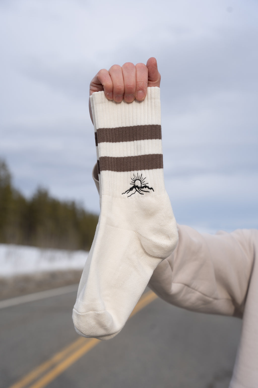 Embroidered Three Guardsman Skater Socks