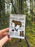 Grizzly Bear Sticker