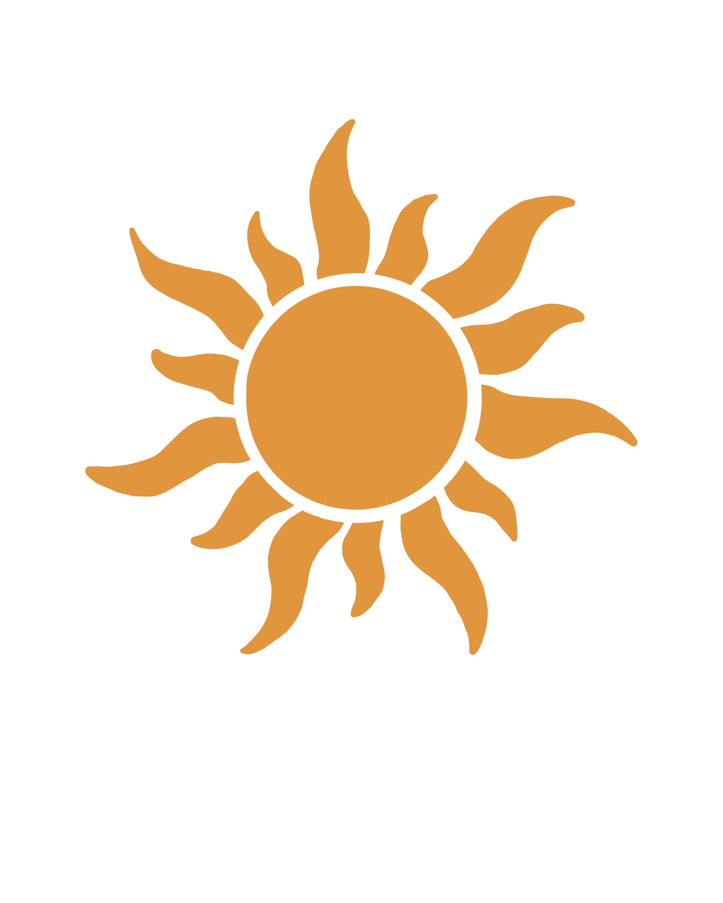 Sunshine and Wild Co.